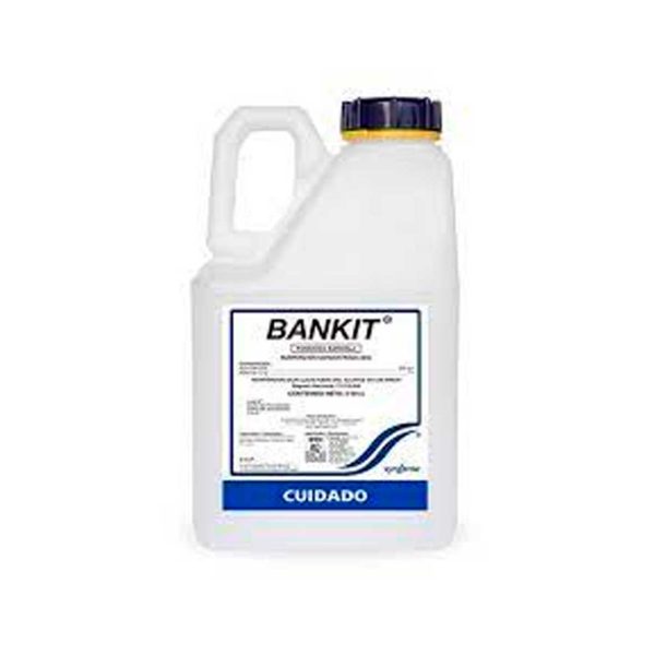 BANKIT-25