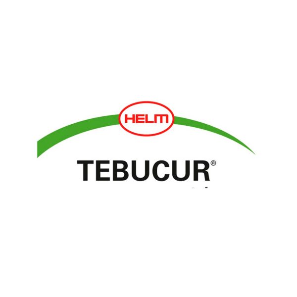 TEBUCUR